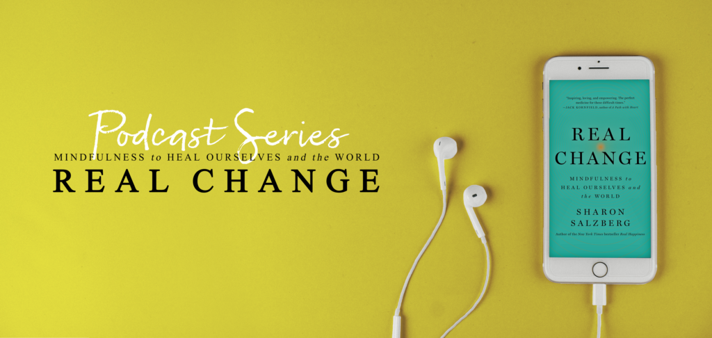 This is the first episode of the Real Change Podcast series. In this conversation, Joshin and Sharon discuss some of the themes from her new book, Real Change, exploring the ways that meditation practice can inform social action. They discuss working with anger, pathological altruism, finding long term resilience and joy in activism, and working to find balance. To close the conversation, Joshin leads a ten-minute meditation practice on equanimity.