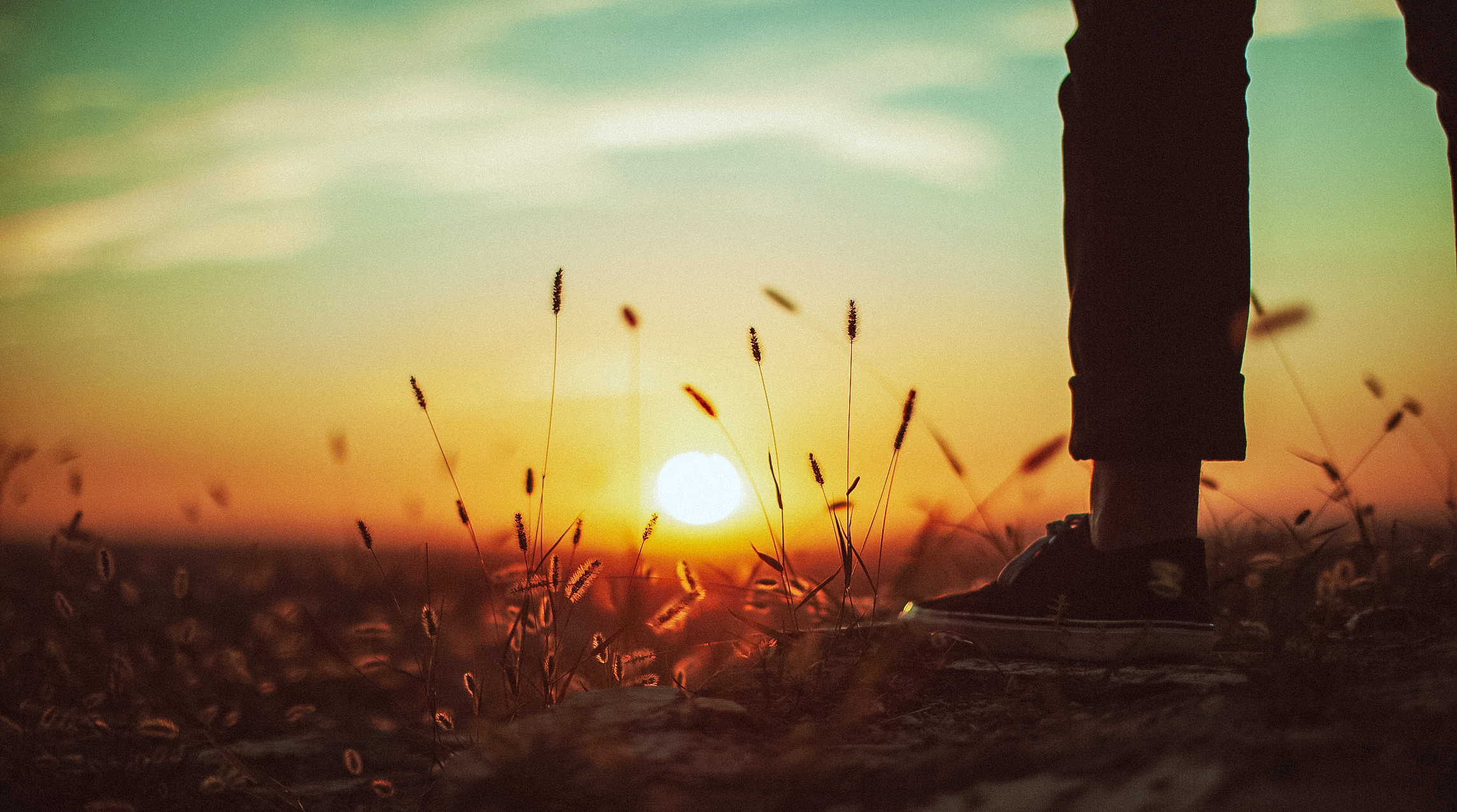 This time on Living with Reality, Dr. Robert Svoboda talks about moving beyond 2020 and provides tips and insights into how we can open ourselves to a better reality in 2021.