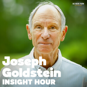 Insight Hour with Joseph Goldstein – Ep. 262 – Letting Thoughts Dissolve