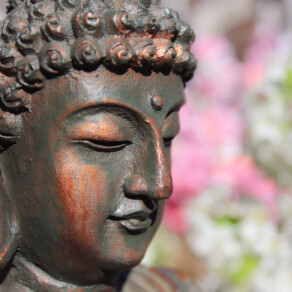 BHNN Guest Podcast – Ep. 258- The Five Things That Lead to Awakening with Trudy Goodman