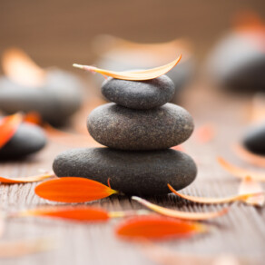 BHNN Guest Podcast – Ep. 266 – Creating a Culture of Wellness with Gullu Singh & Vincent Moore