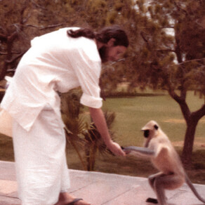 Pilgrim Heart with Krishna Das – Ep. 194 – Selfless Service in Action