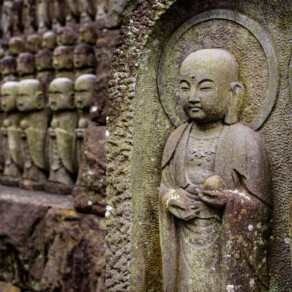 BHNN Guest Podcast – Ep. 276 – Samadhi: The Practice of Becoming Whole with Gil Fronsdal